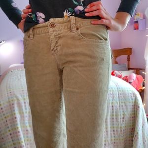 American Eagle Outfitters Olive Green Straight Leg Corduroy Pants